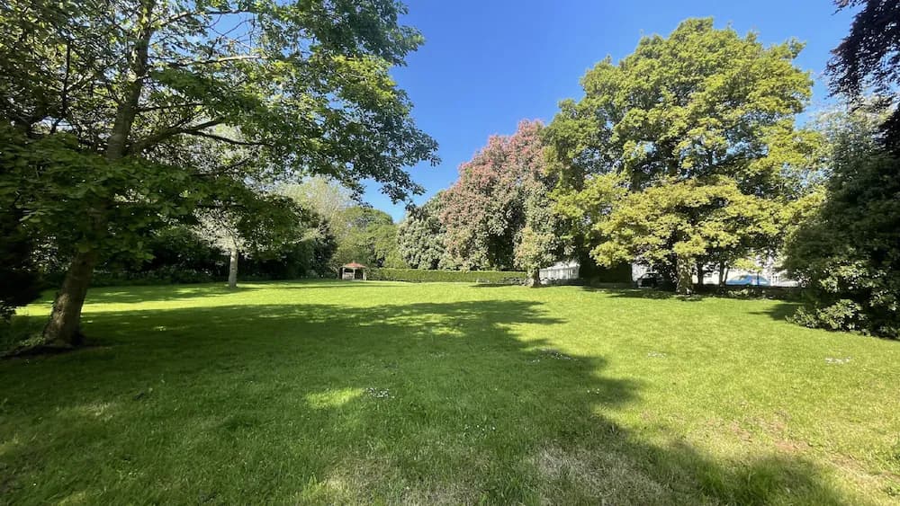 Garden view