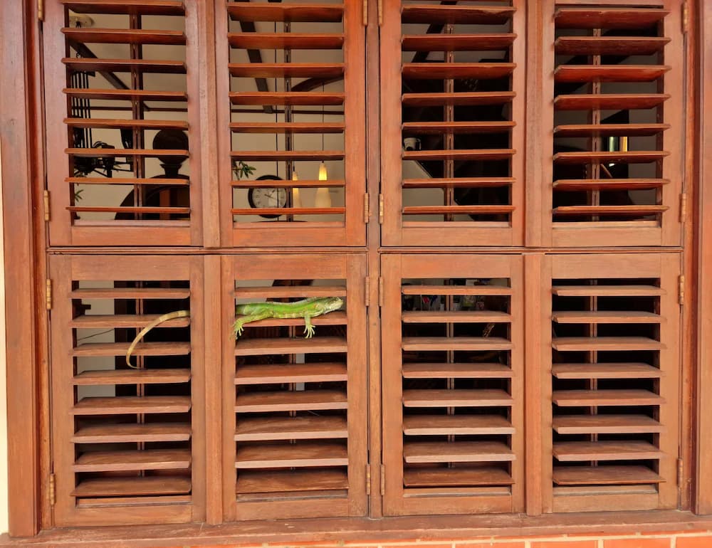 Interior detail