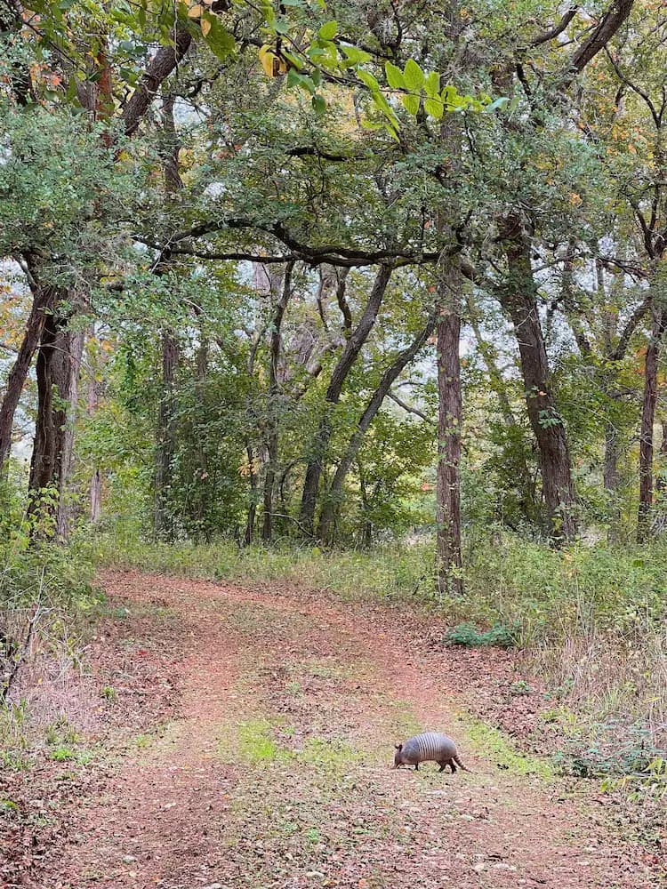 Hiking