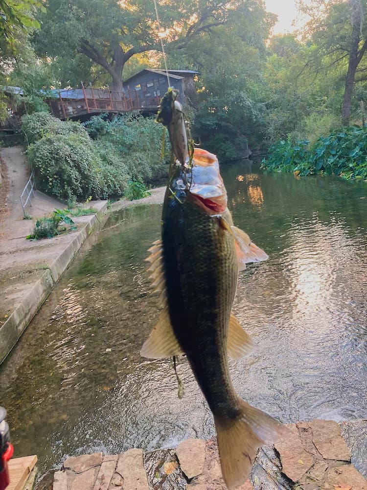 Fishing