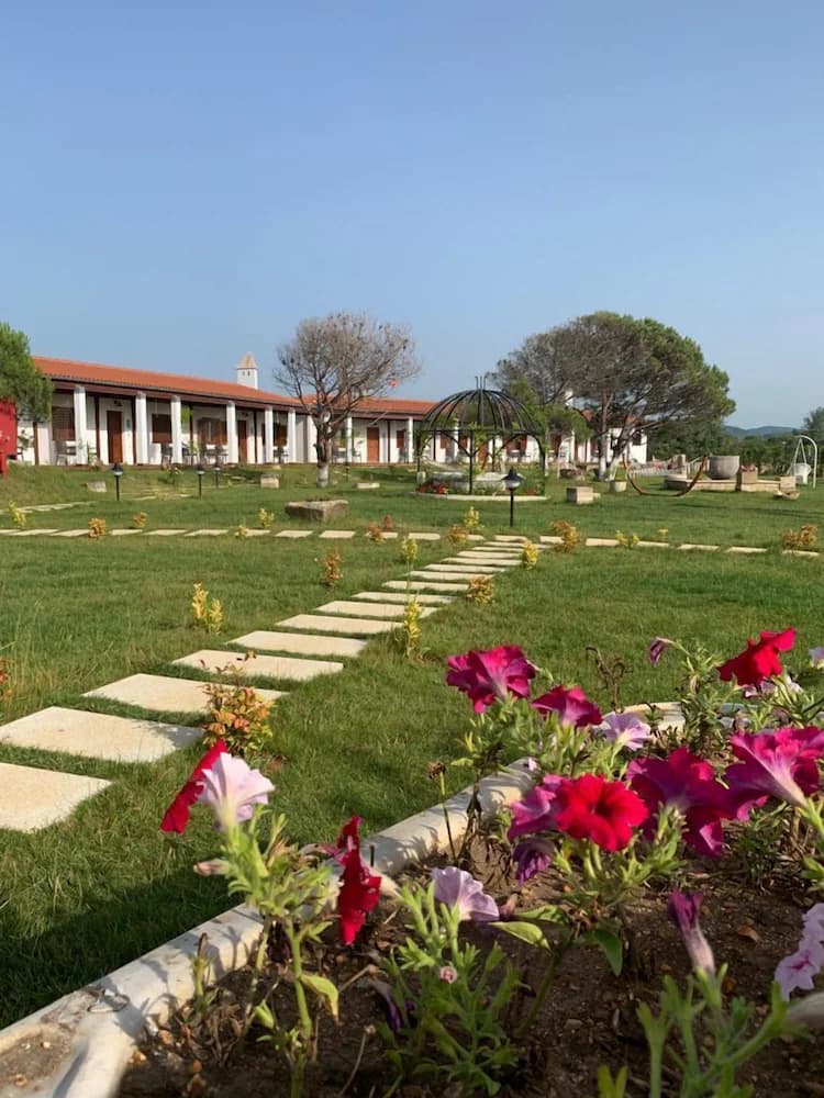 Garden view