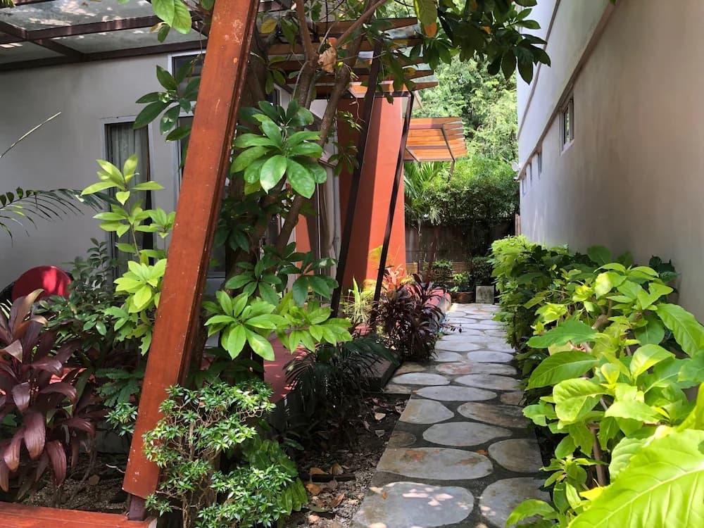 Garden view