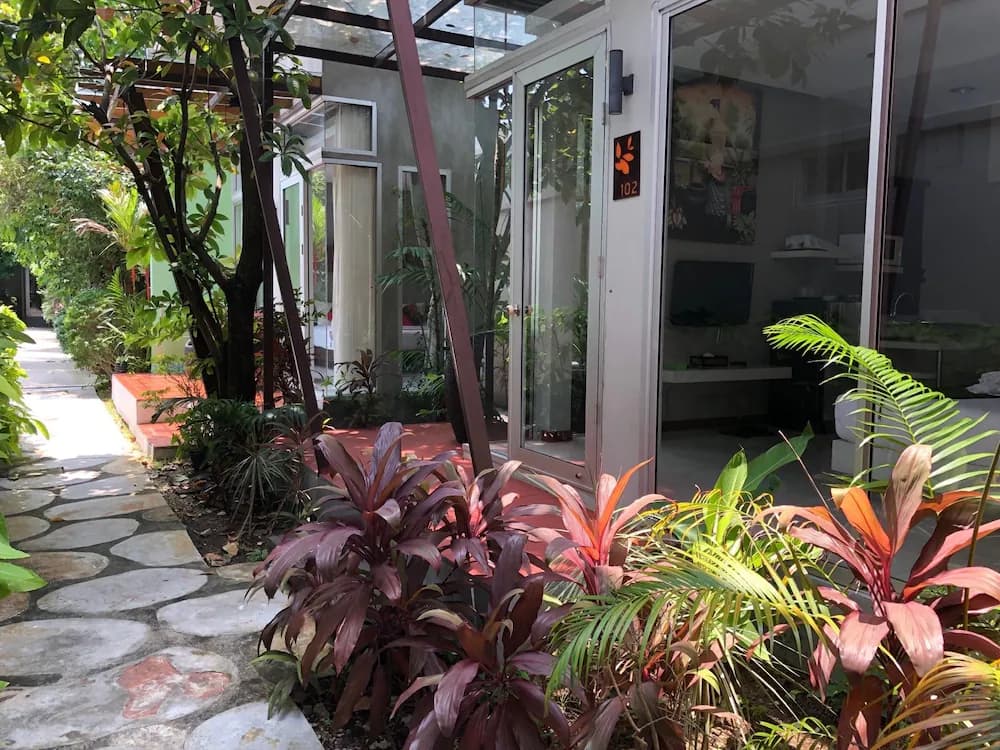 Garden view