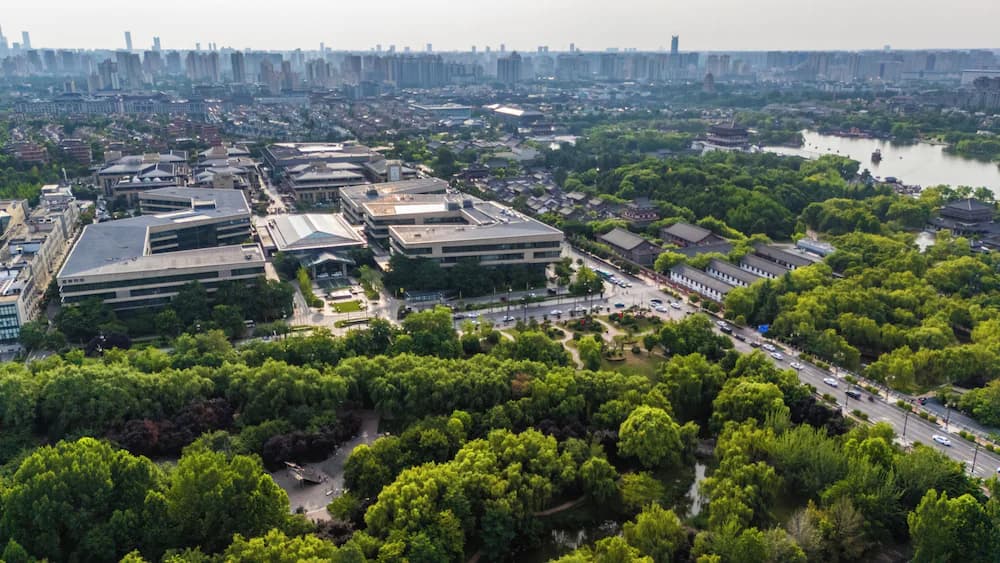 Aerial view