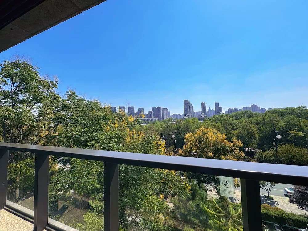 View from property