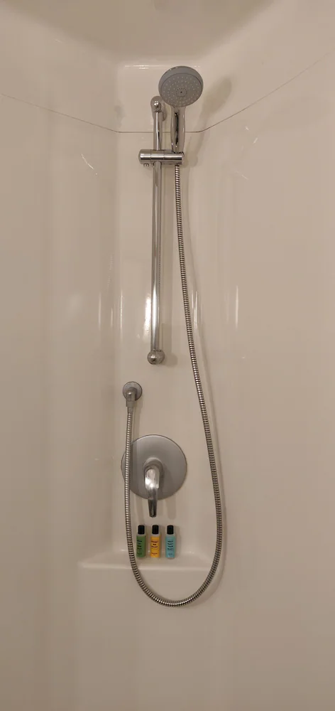Bathroom shower