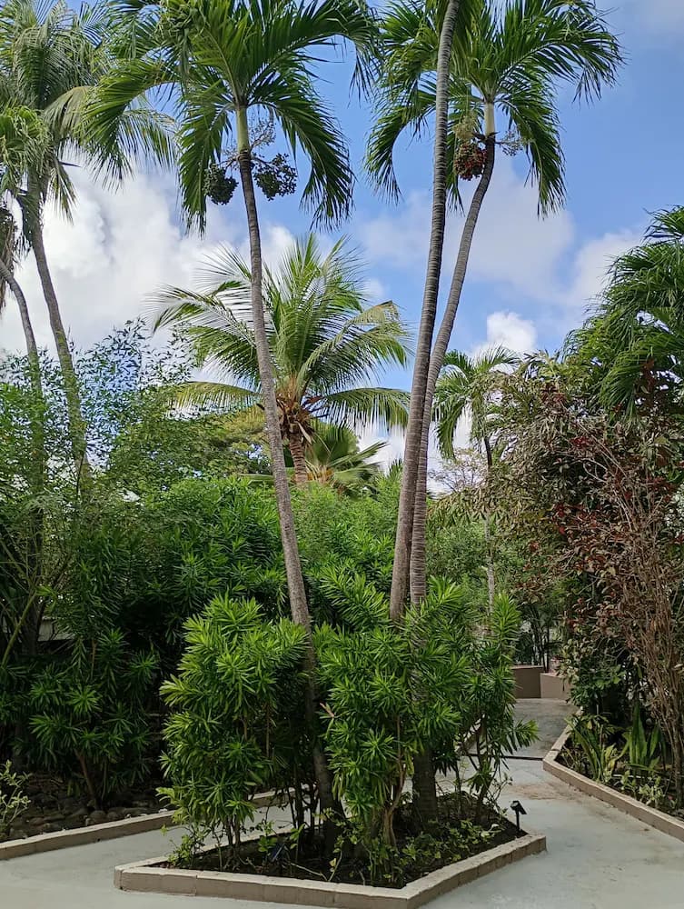 Courtyard view