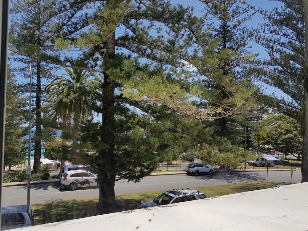 View from room