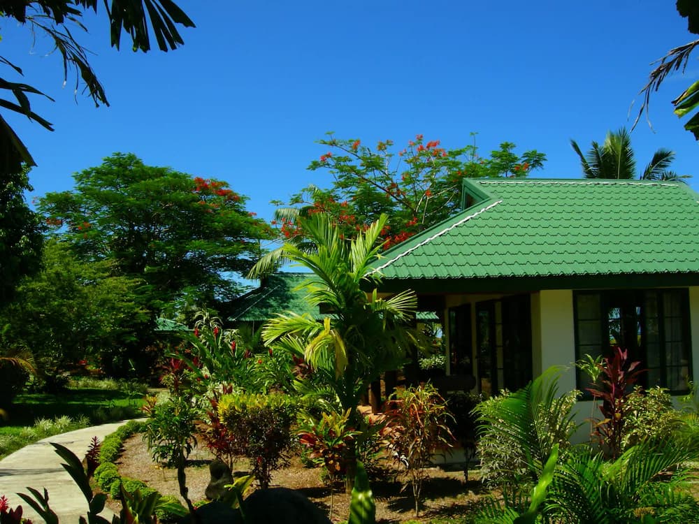Garden view
