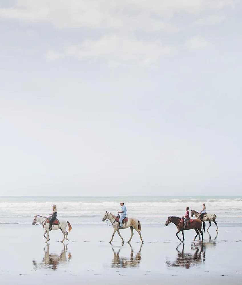 Horseback riding