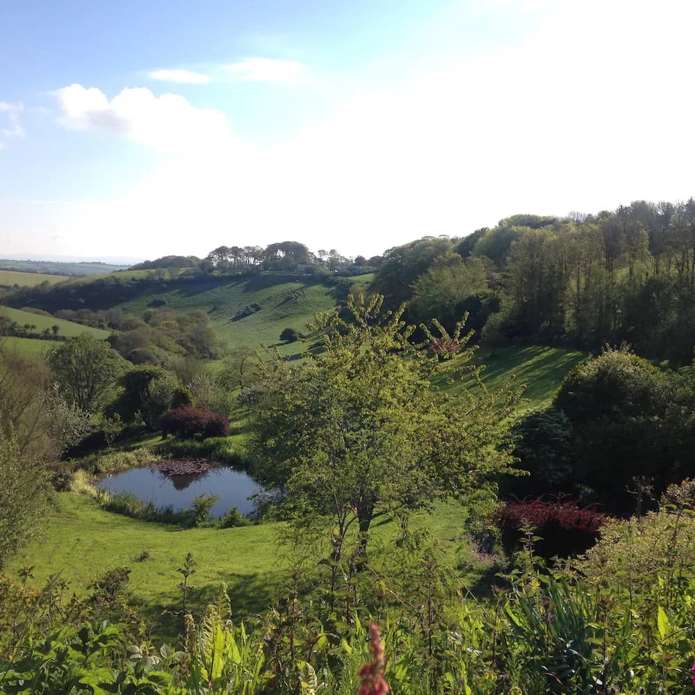 View from property