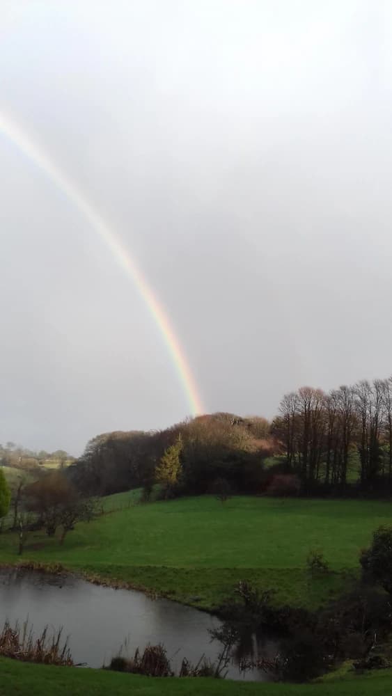 View from property