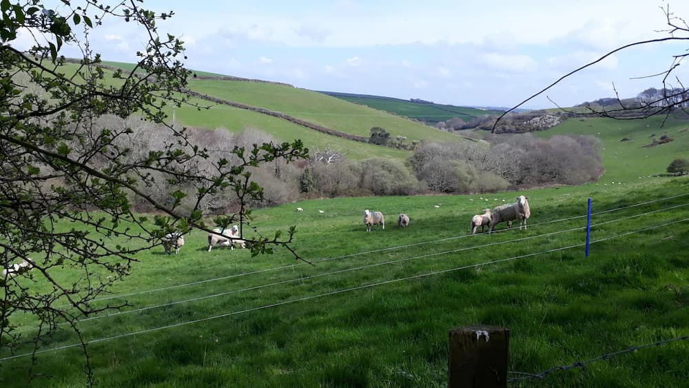 View from property