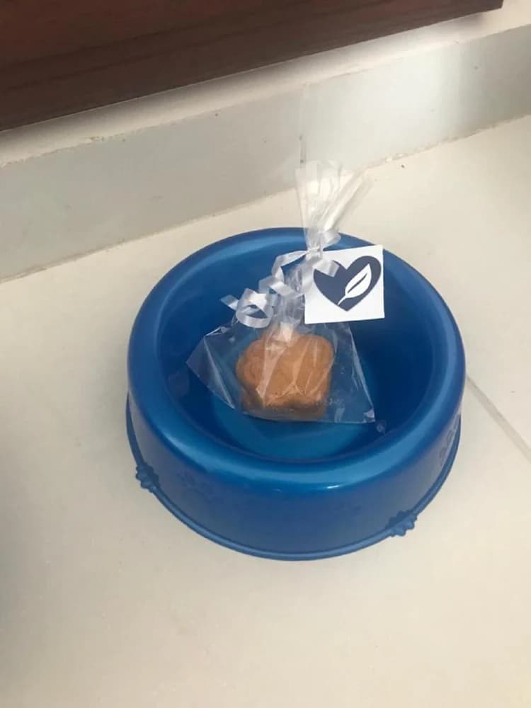 Pet-friendly amenities