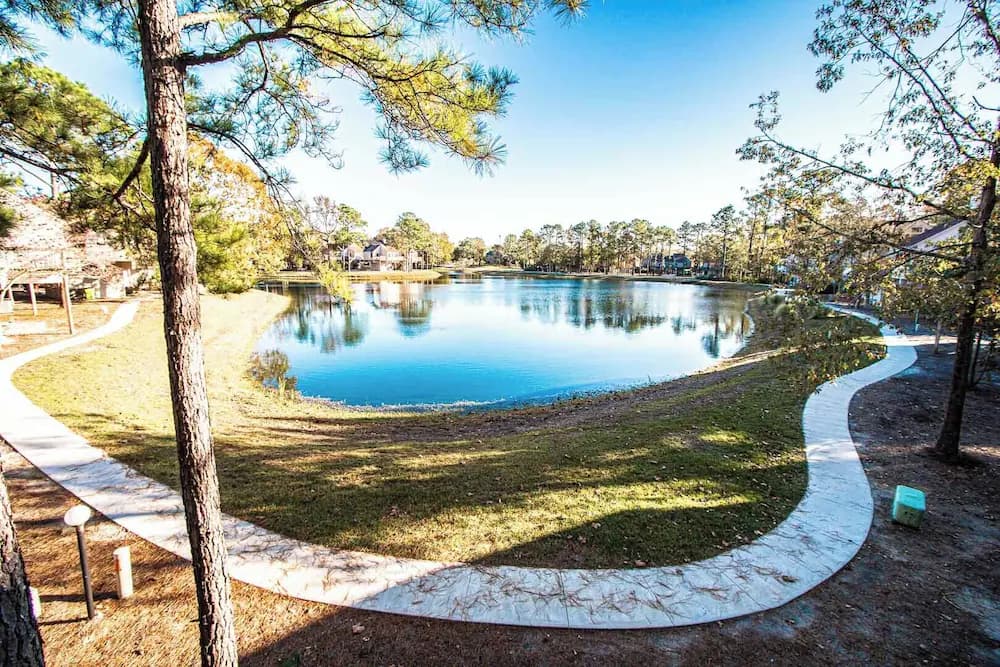 Lake view