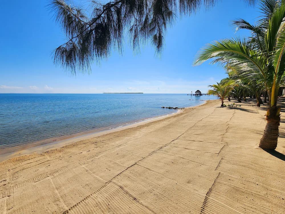 Beach/ocean view