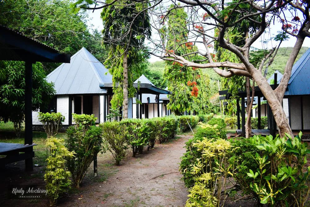 Garden view