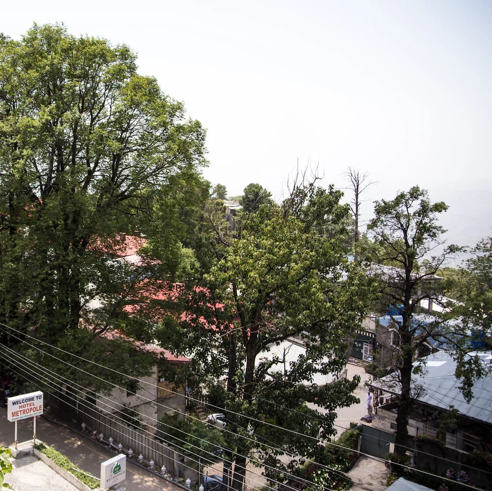 View from room