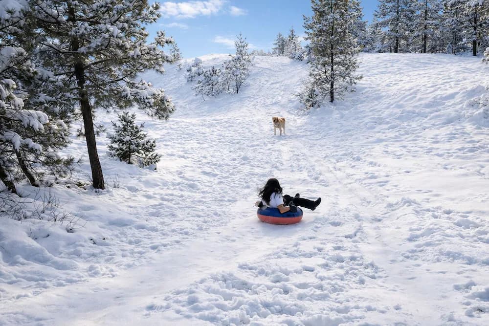 Snow and ski sports
