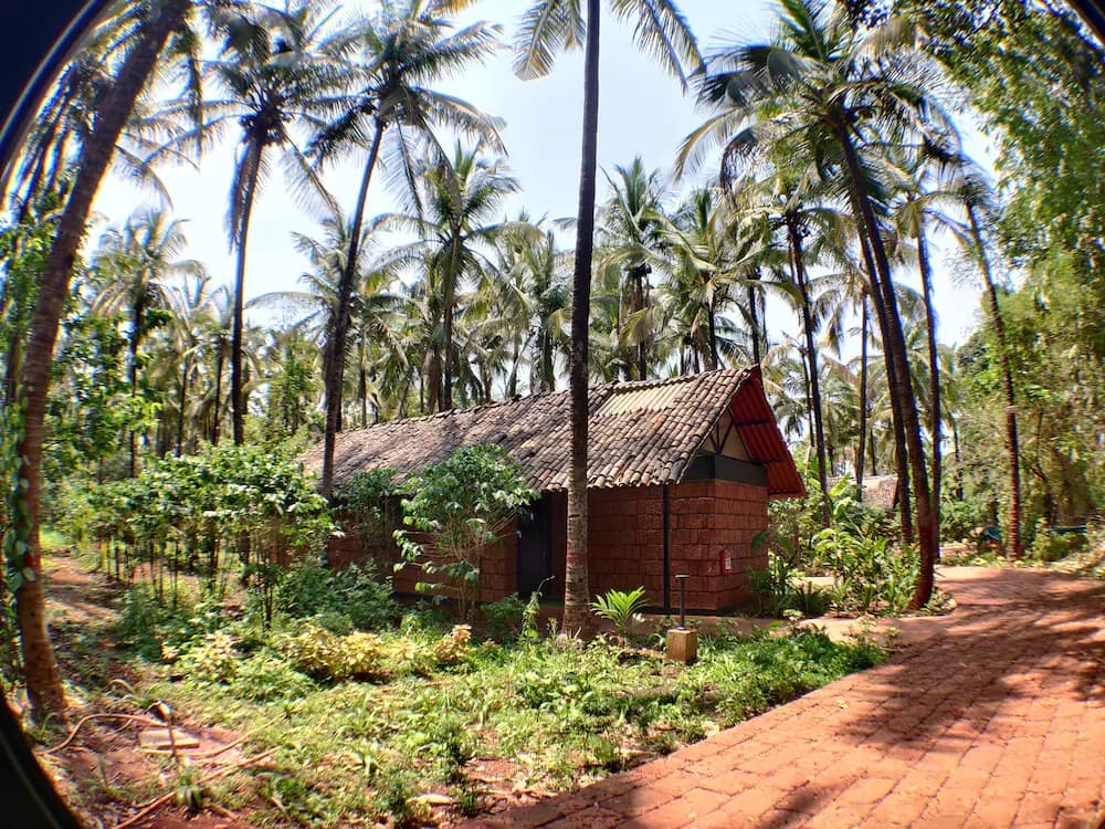 Garden view