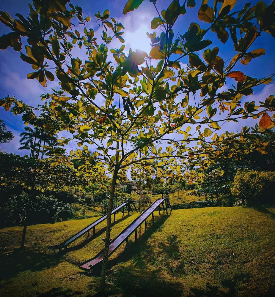 Children's play area - outdoor