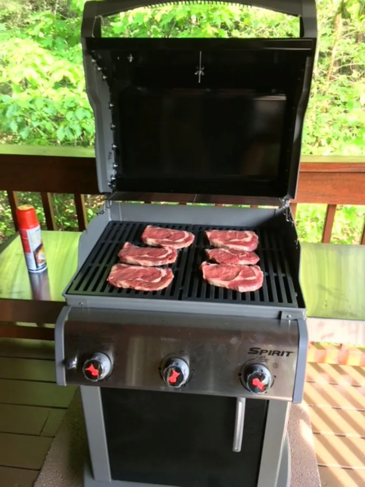 BBQ/picnic area