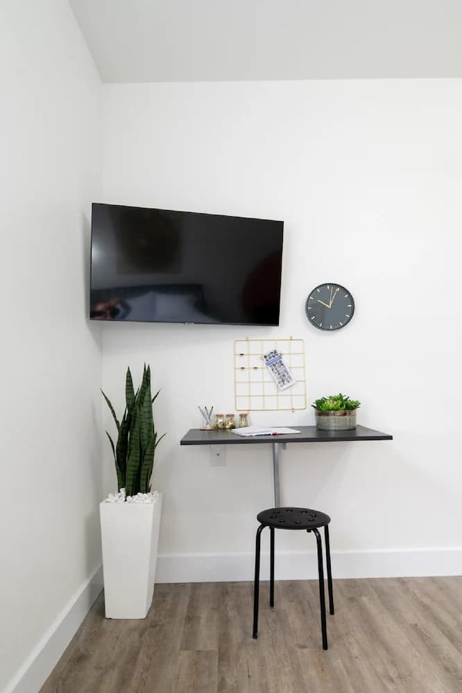 Television