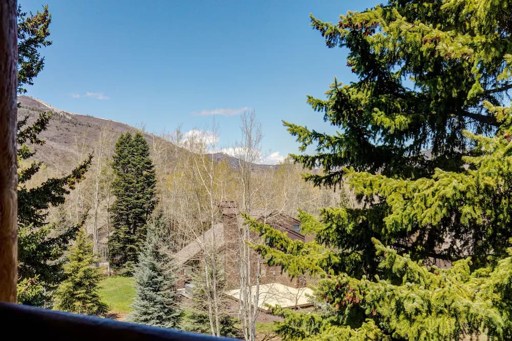 View from property