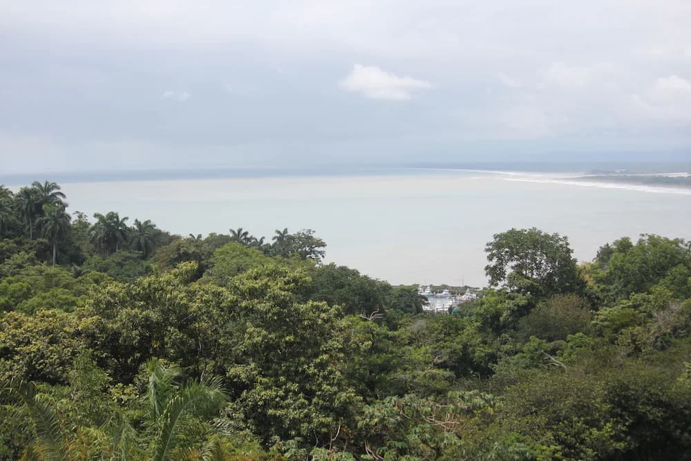 View from property