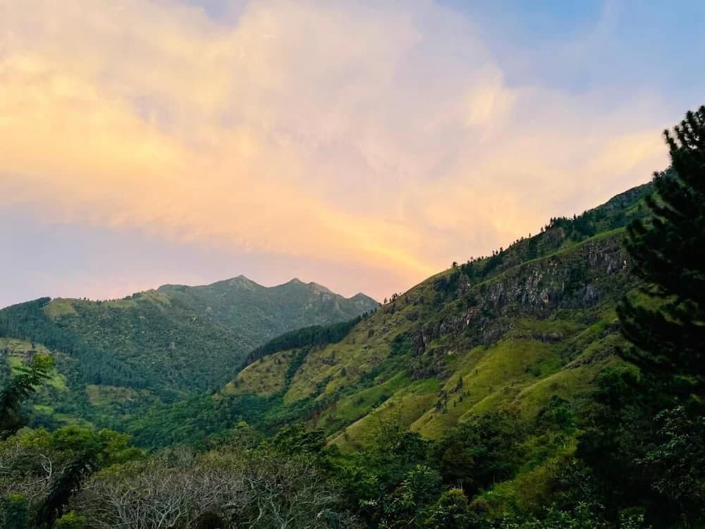 View from property