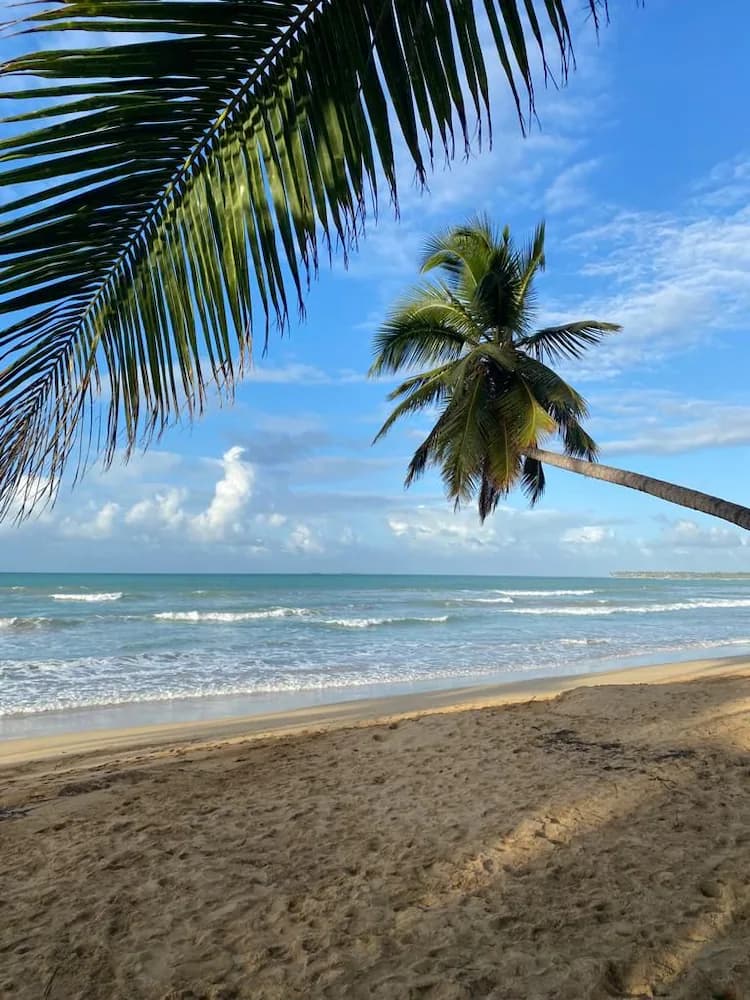 Beach/ocean view