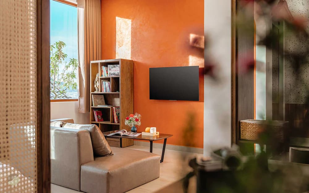 Television