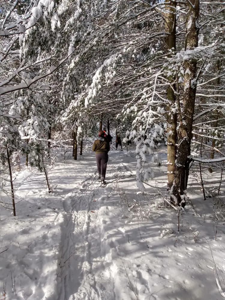 Snowshoeing