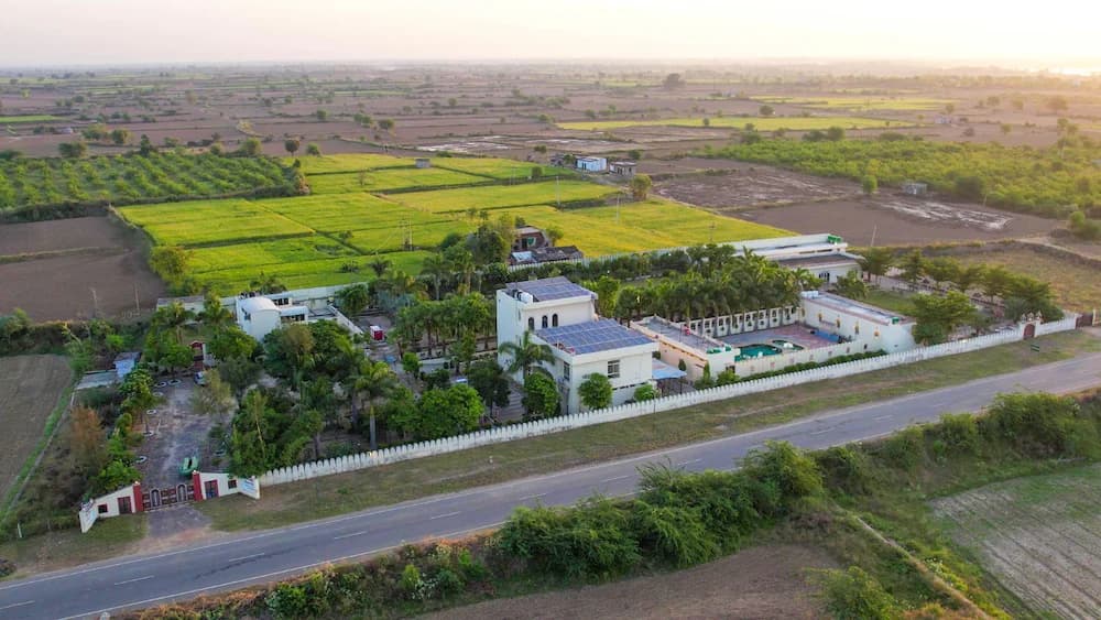 Aerial view