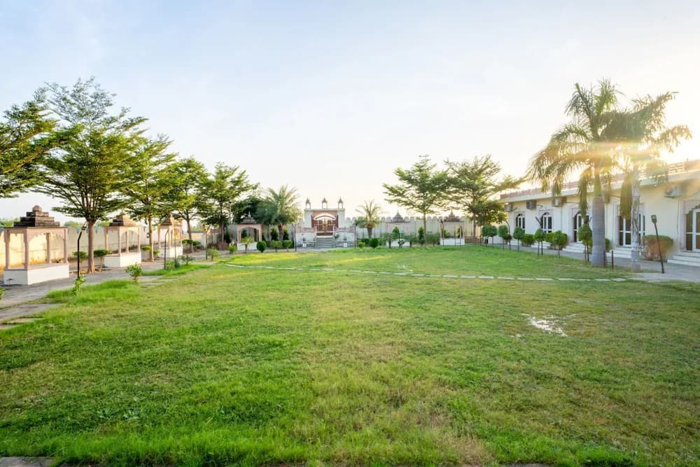 Garden view