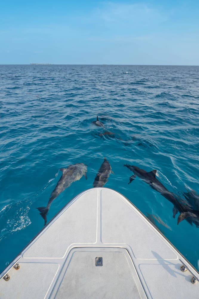 Boating