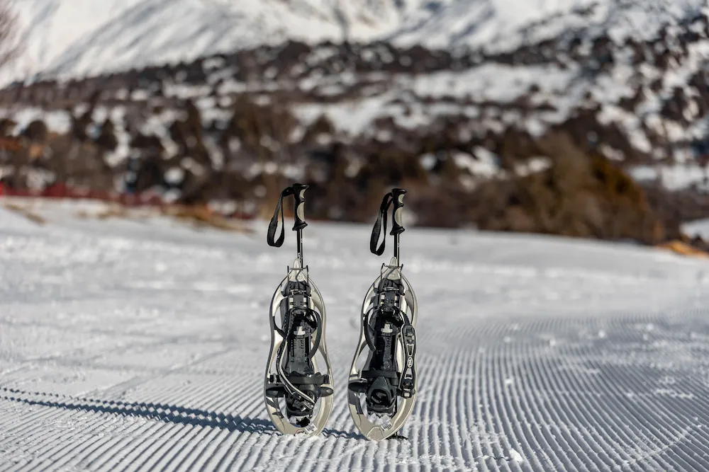 Snowshoeing