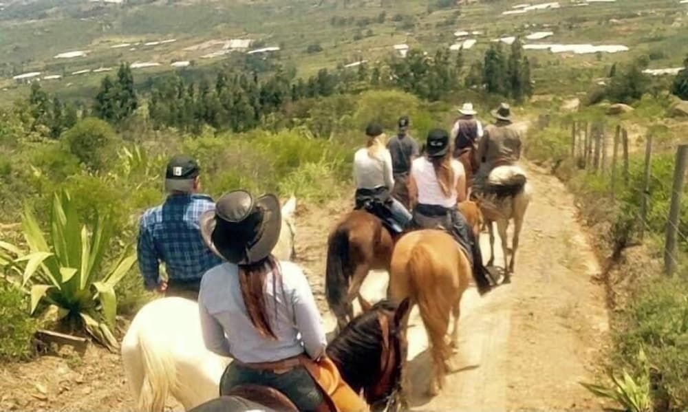 Horseback riding