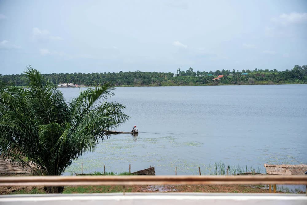 Lake view