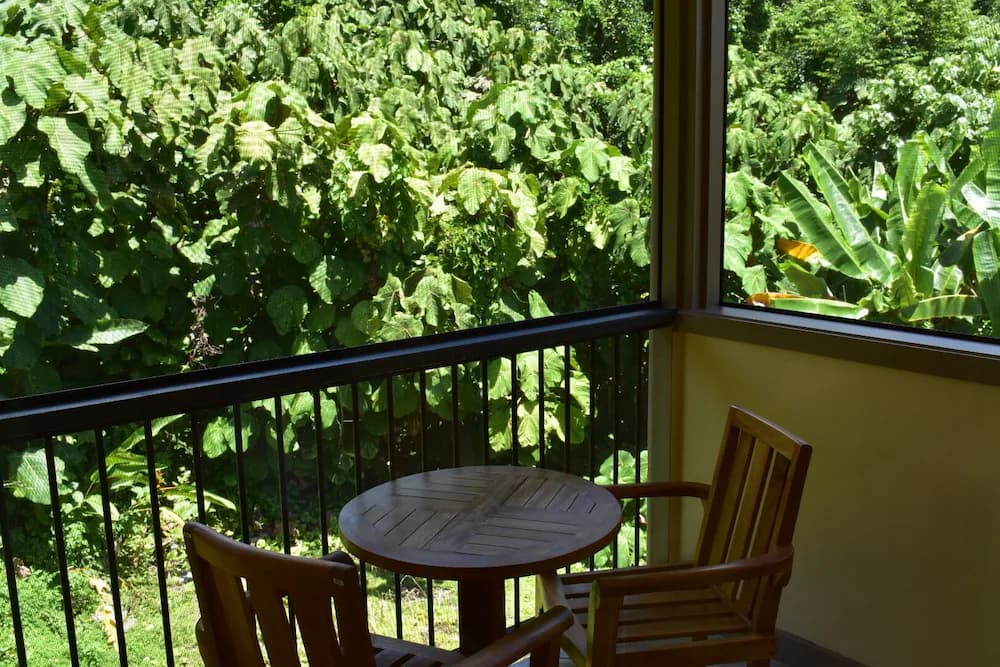 View from room