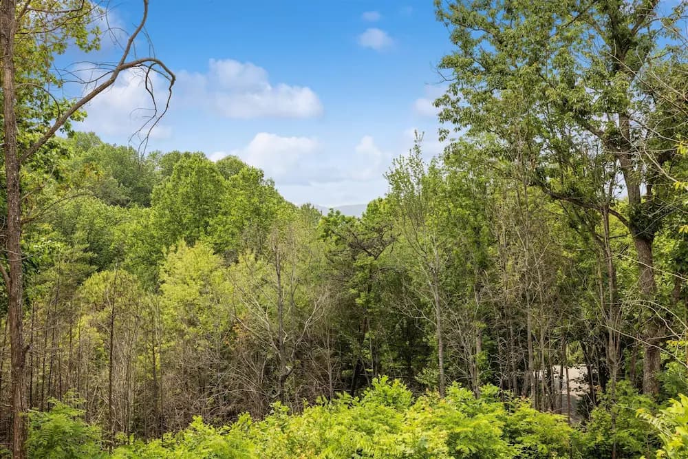 View from property