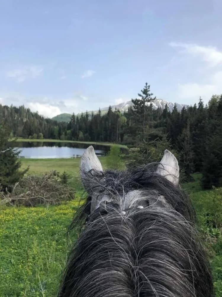Horseback riding