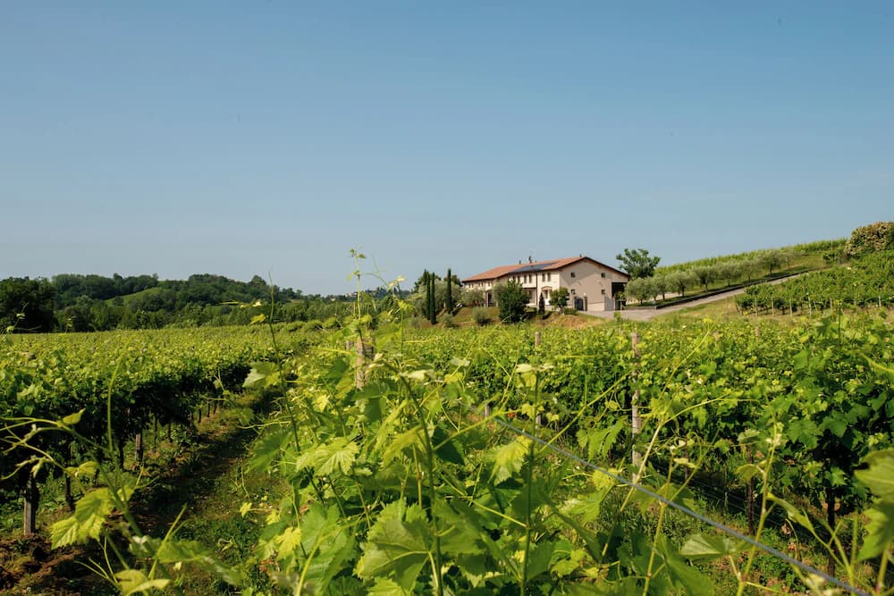 Winery