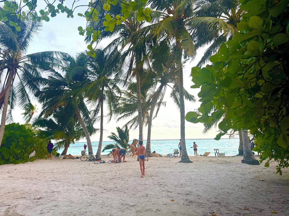 Beach