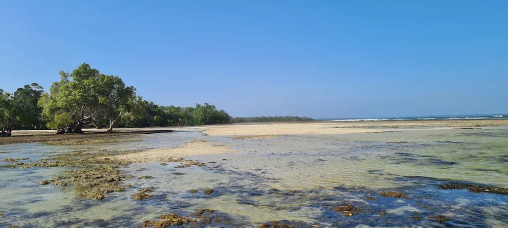 Beach