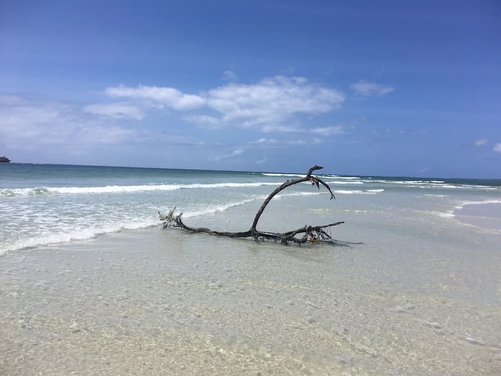 Beach
