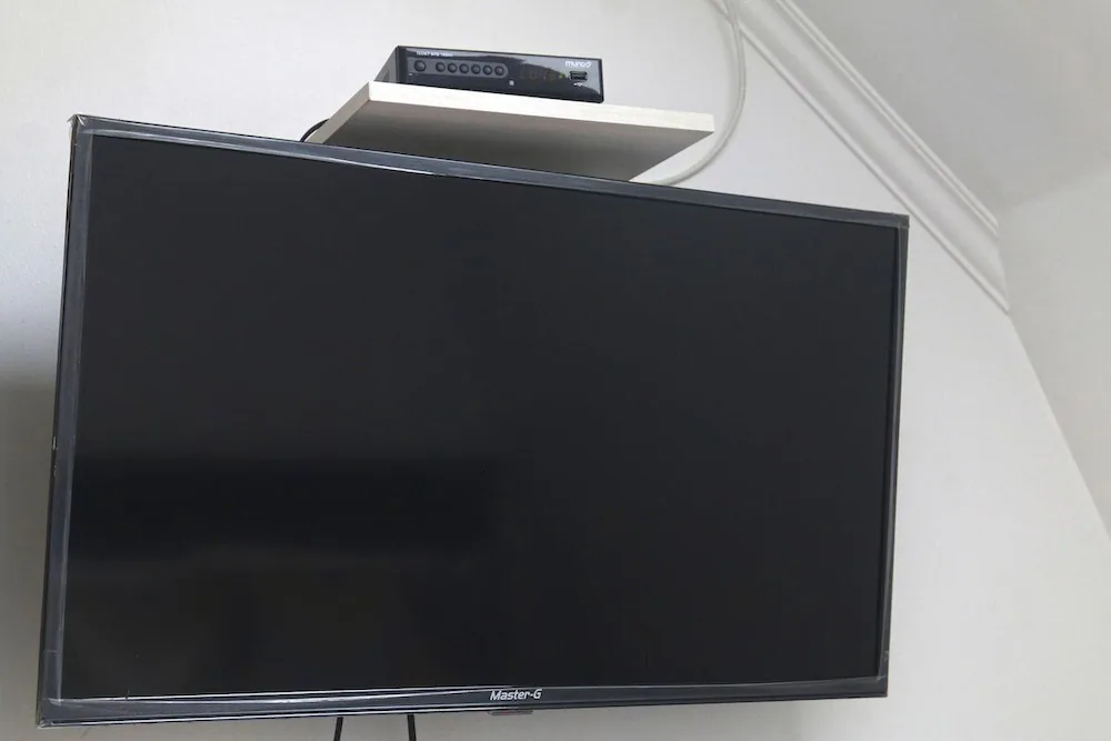 Television