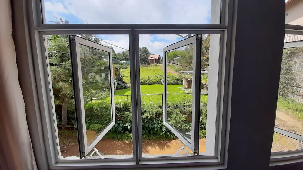 View from room