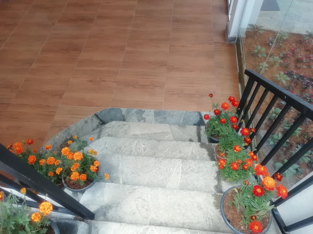 Staircase