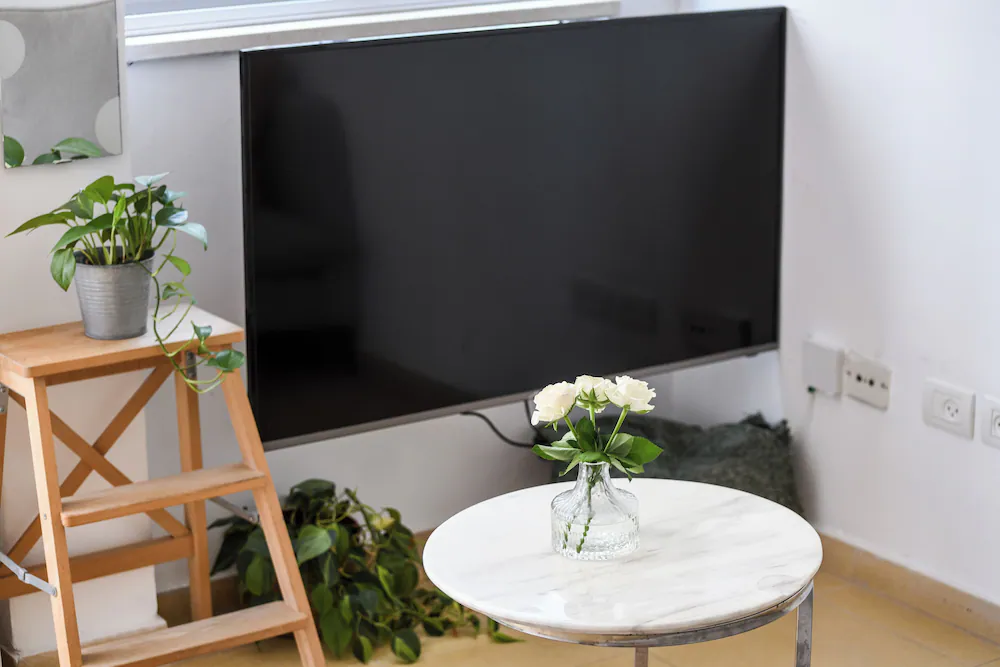 Television